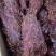 大块肉，麻辣大块肉，酱香大块肉。一件70斤，麻辣五香
