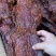 大块肉，麻辣大块肉，酱香大块肉。一件70斤，麻辣五香