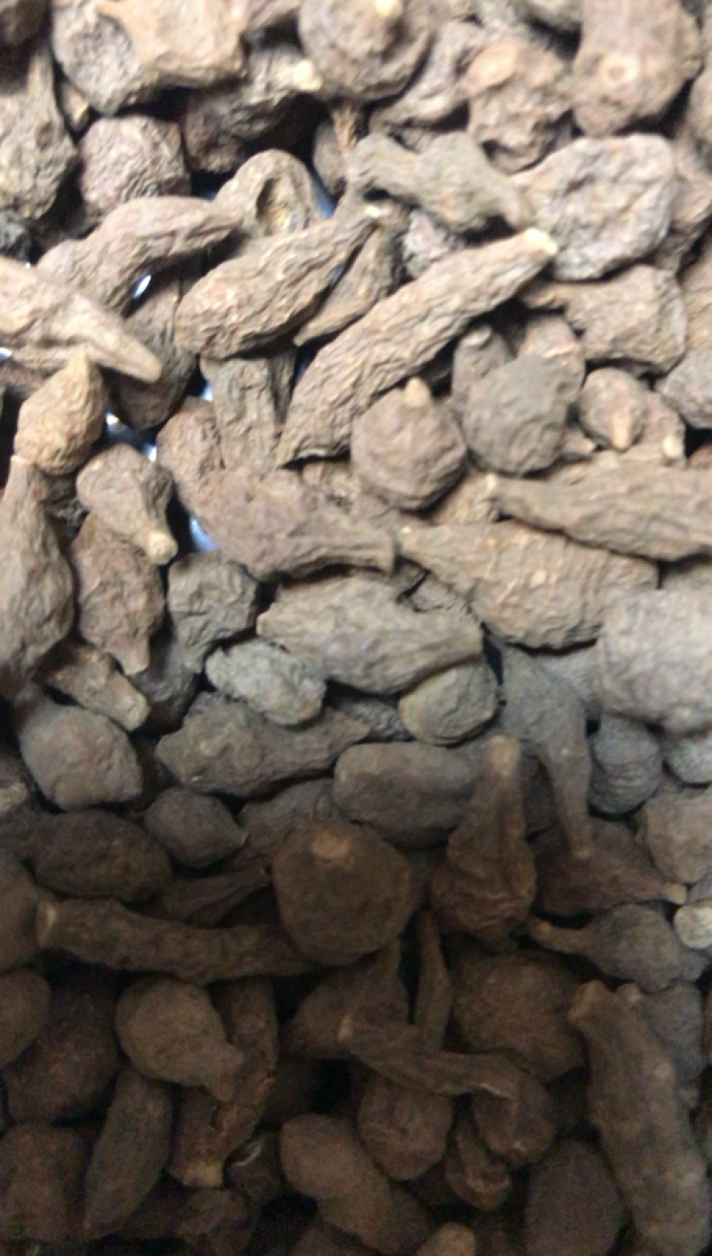 甘肃特产蕨麻老百姓自己挖来的产品需要的朋友们可以联系我了