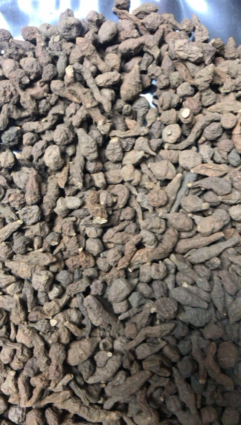 甘肃特产蕨麻老百姓自己挖来的产品需要的朋友们可以联系我了