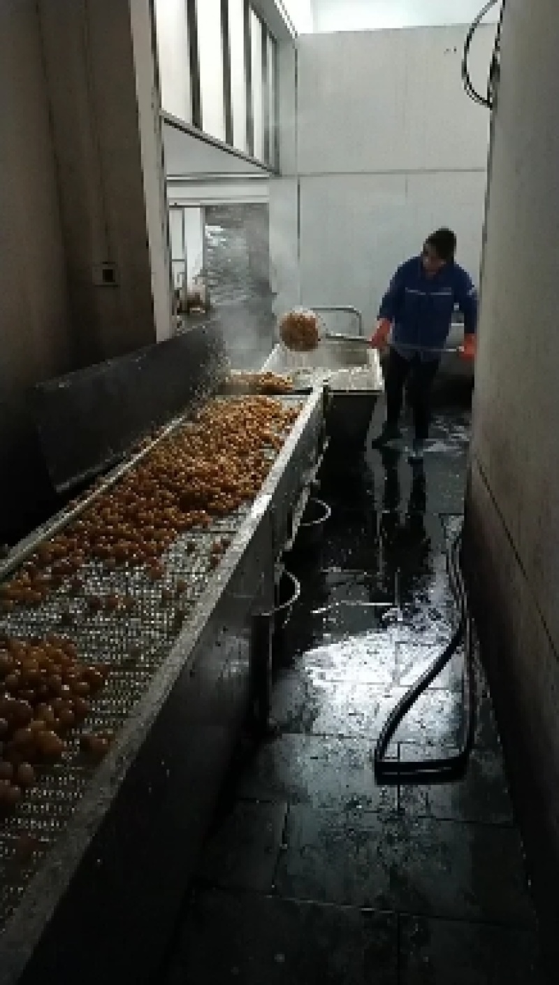 新鲜蜜枣大量上市欢迎新老朋友品尝下单欢迎选购