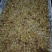 新鲜蜜枣大量上市欢迎新老朋友品尝下单欢迎选购