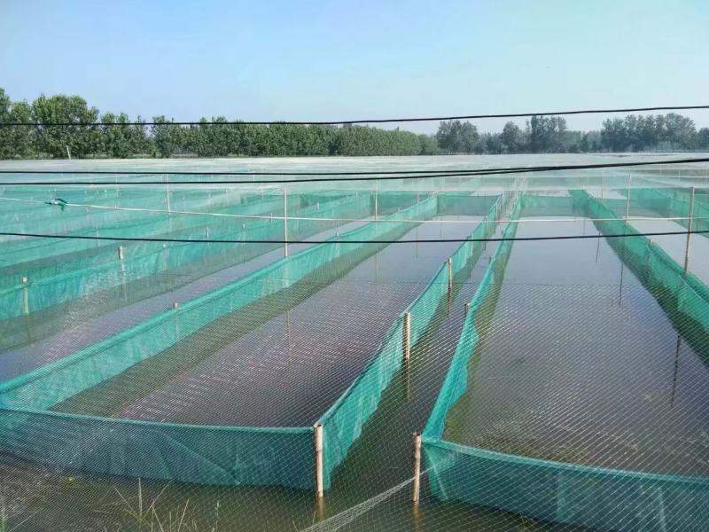 养殖网箱，龙虾养殖网箱，泥鳅养殖网箱，水蛭养殖网箱，养殖