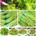新鲜蔬菜芦蒿泥蒿藜蒿零售批发三斤包邮全国发货