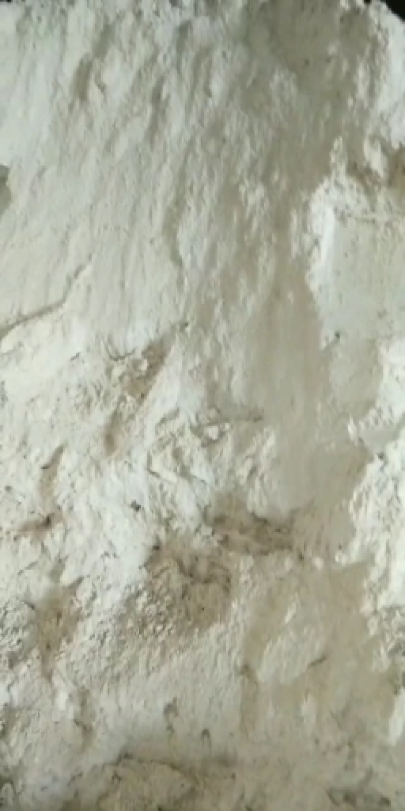 油渣粉（玉米油渣粉）有需要随时联系我哦！！！