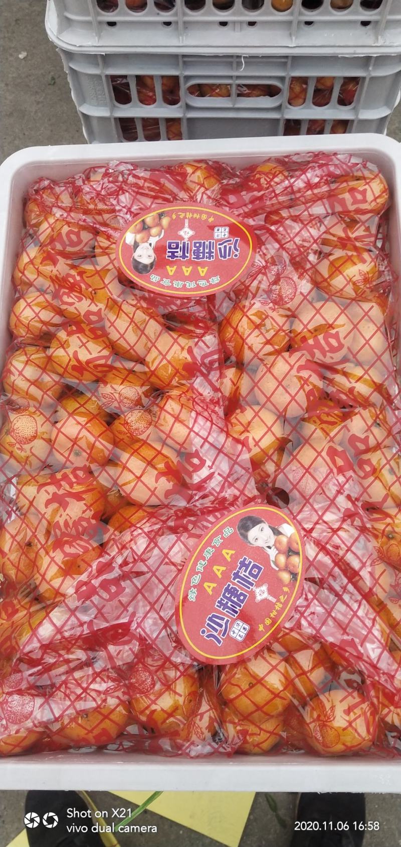南丰蜜橘，可视频看货，产地直发，一手货源