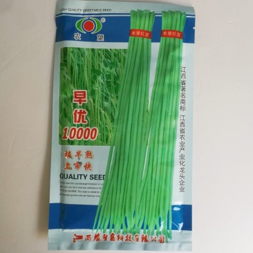 早优10000豇豆种子极早熟上市早荚条嫩绿色挂荚多
