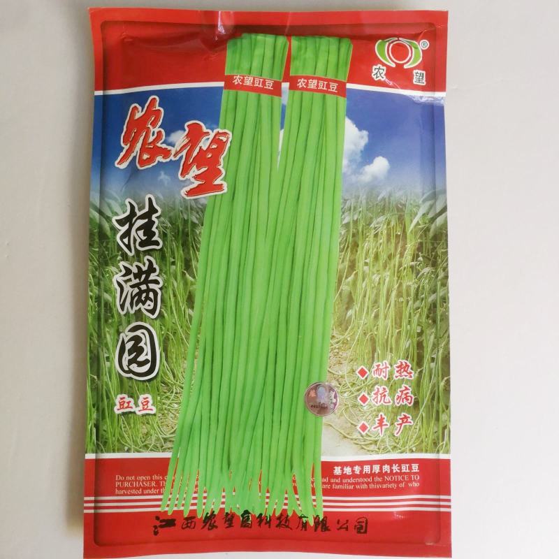 早优10000豇豆种子极早熟上市早荚条嫩绿色挂荚多