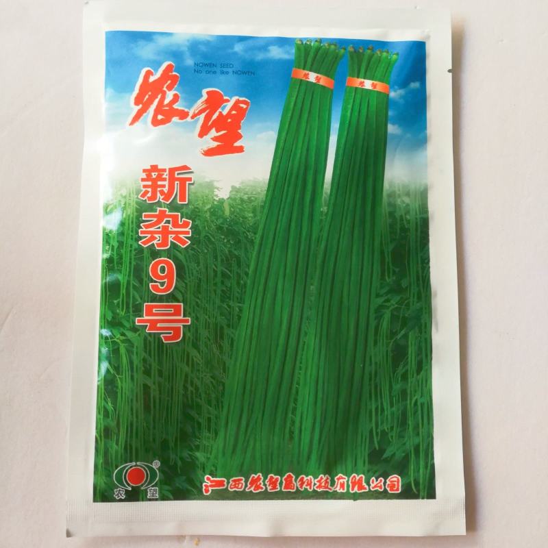 早优10000豇豆种子极早熟上市早荚条嫩绿色挂荚多