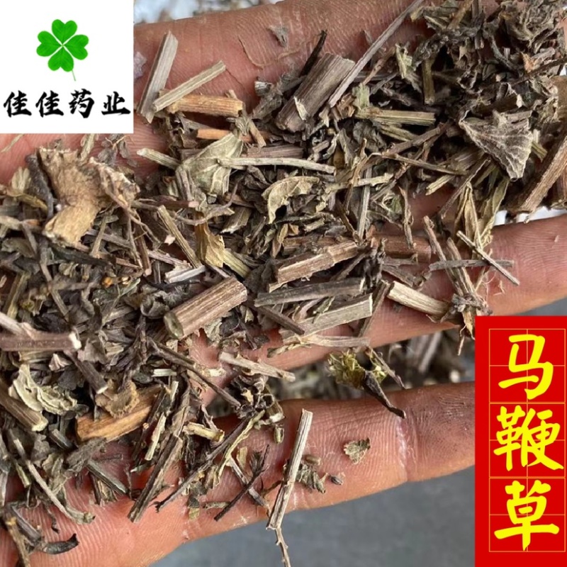 马鞭草统货马边草供应各种中药材中草药