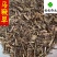 马鞭草统货马边草供应各种中药材中草药