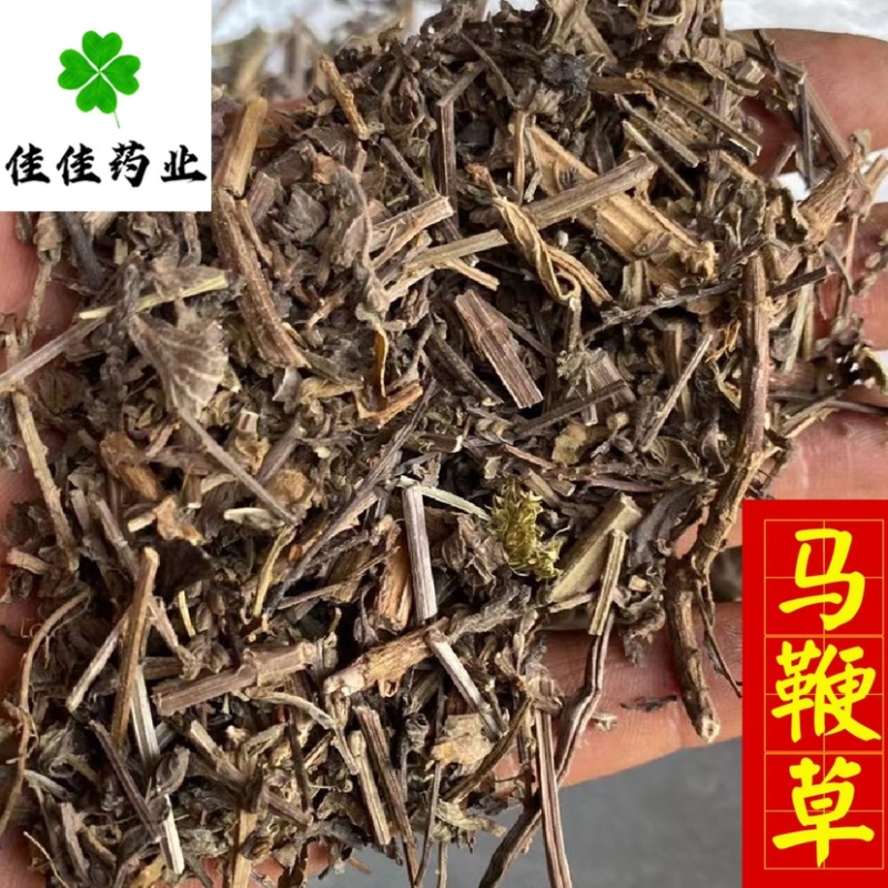 马鞭草统货马边草供应各种中药材中草药