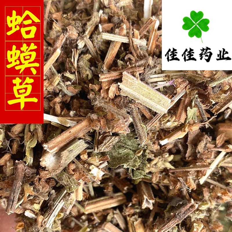 蛤蟆草癞蛤蟆草嫩草新鲜赖哈蟆好统货产地直销供应各种中药材