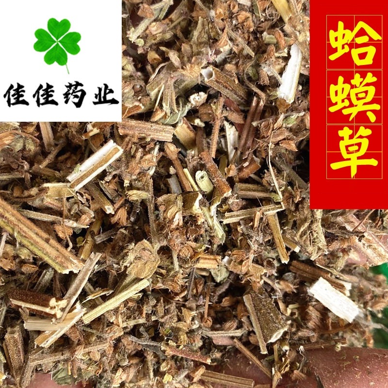 蛤蟆草癞蛤蟆草嫩草新鲜赖哈蟆好统货产地直销供应各种中药材