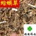 蛤蟆草癞蛤蟆草嫩草新鲜赖哈蟆好统货产地直销供应各种中药材