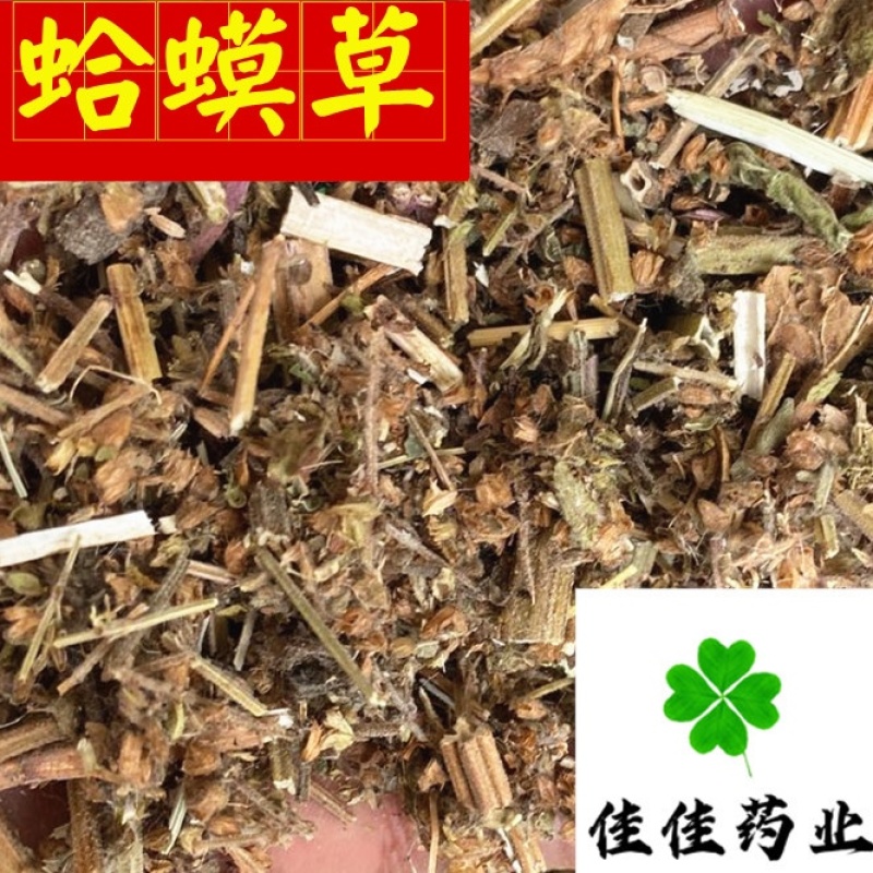 蛤蟆草癞蛤蟆草嫩草新鲜赖哈蟆好统货产地直销供应各种中药材