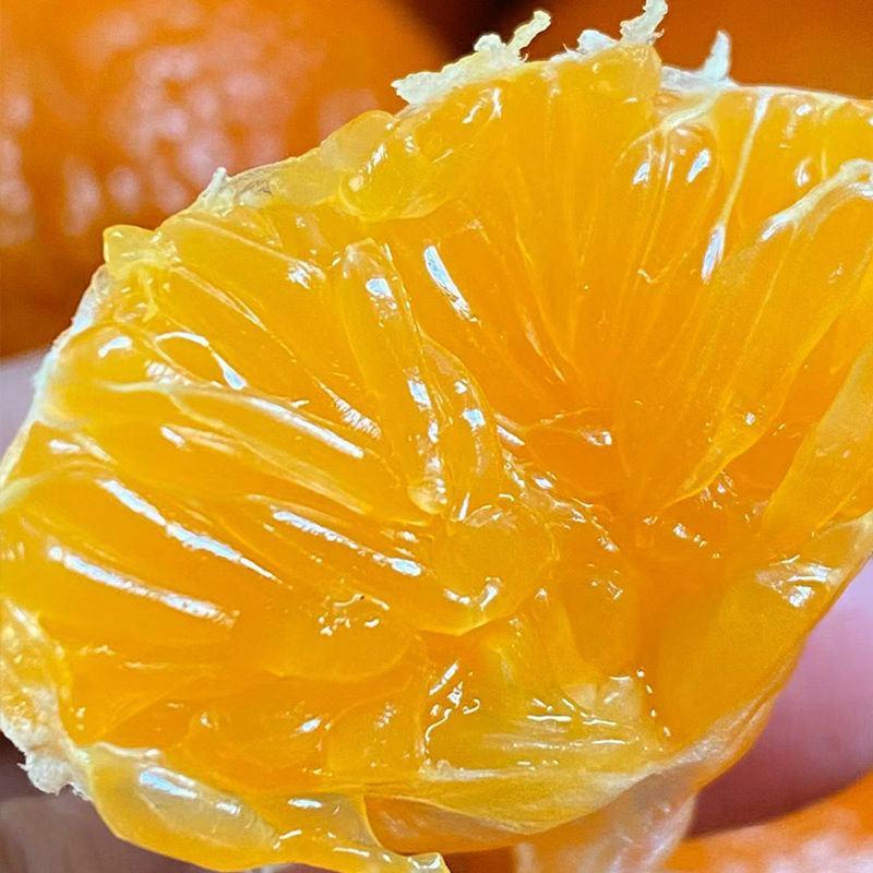 广西正沃柑橘子纯甜现摘水果新鲜多汁应季薄皮纯甜沃柑当季