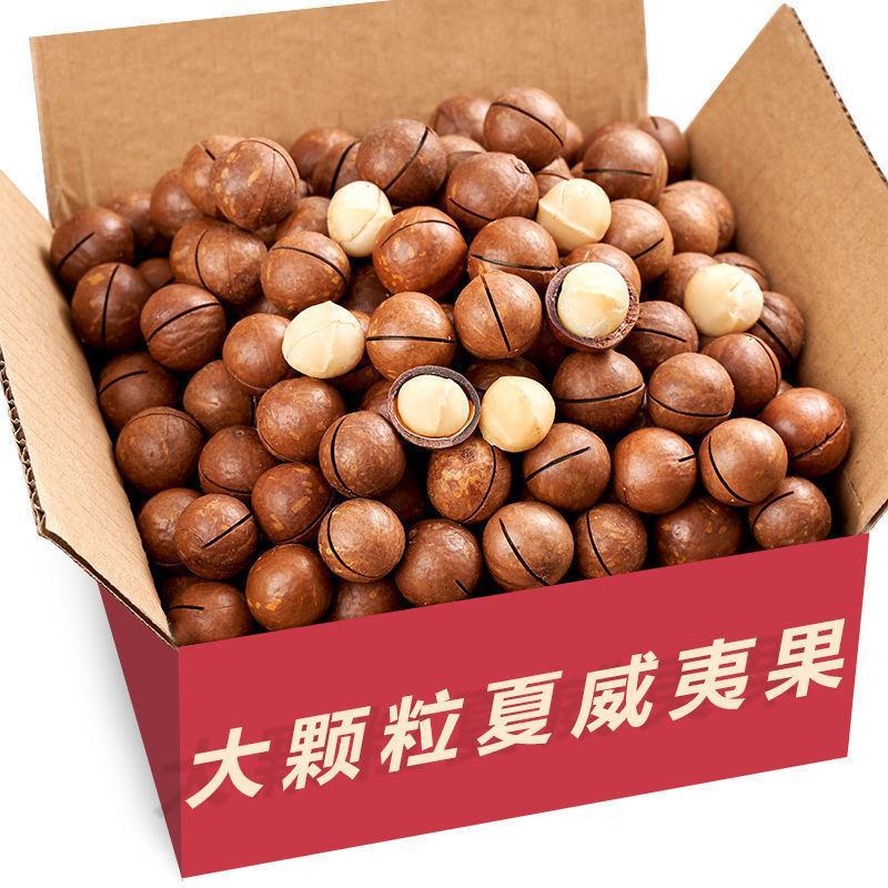 新货大颗粒夏威夷果带罐500g大颗奶油味坚果干果250g
