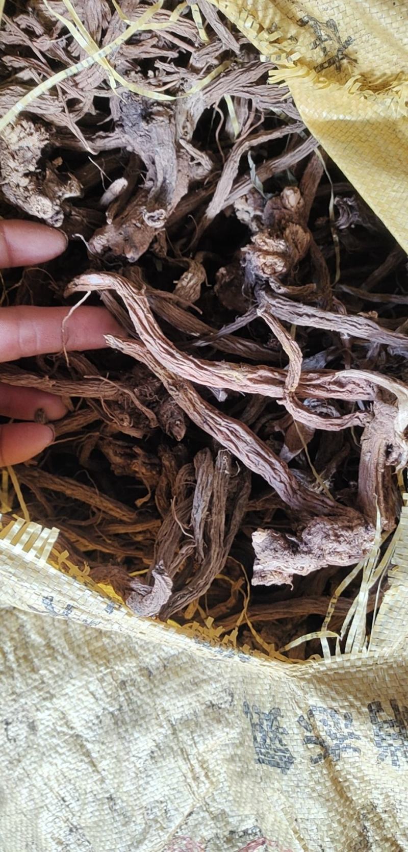 续断大货批发直供川续断现货产地直发续断