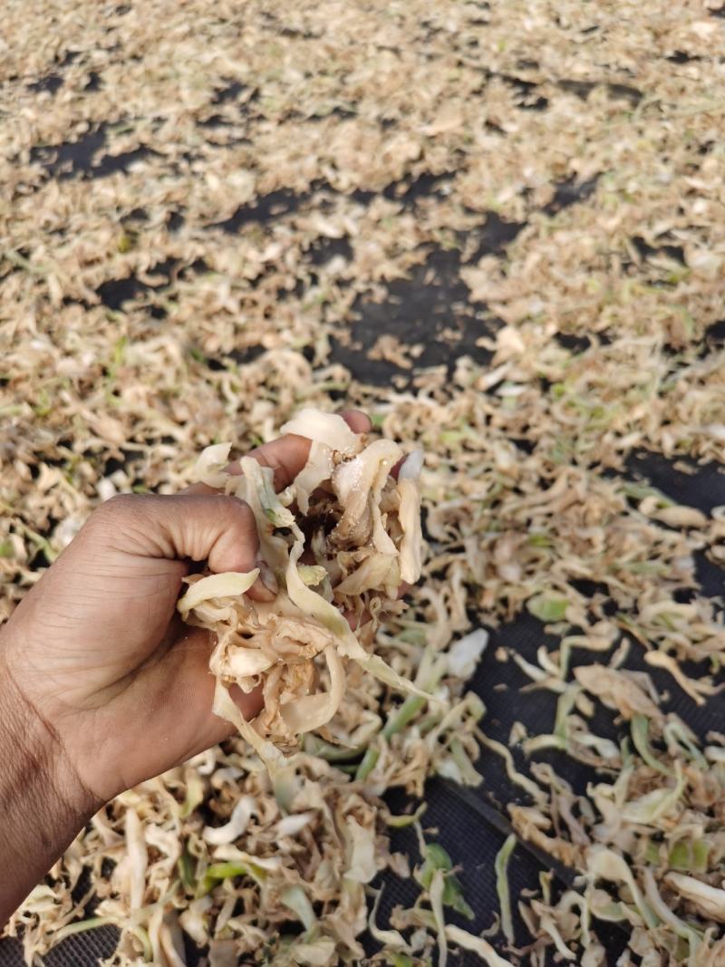 芥菜，芥菜干，客家特产，农家大菜尾