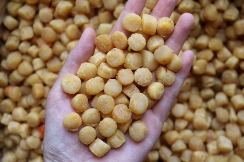 一德路400头大连元贝干贝瑶柱宝宝辅食煲汤煲粥食材