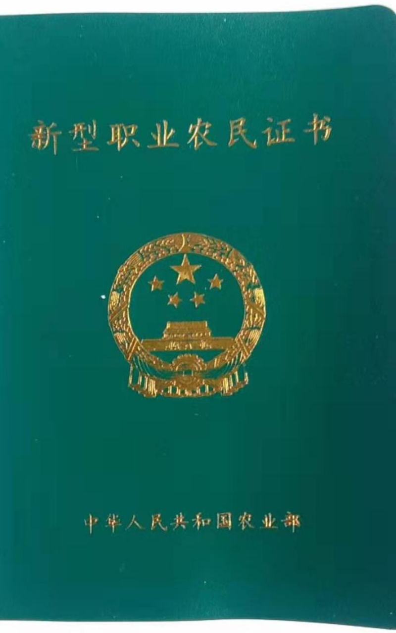供应蜜薯脱毒红薯苗，口感好，产量高，基地直供。