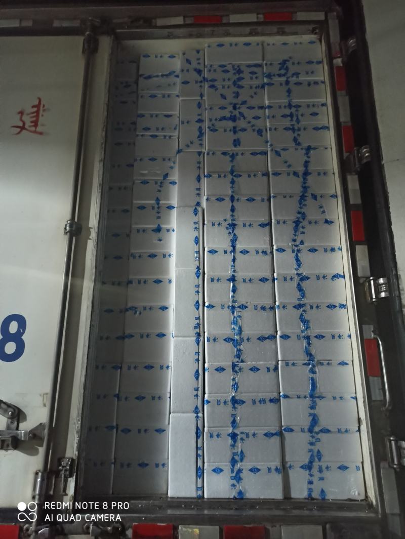 网红小包装生蚝，本地一手货源