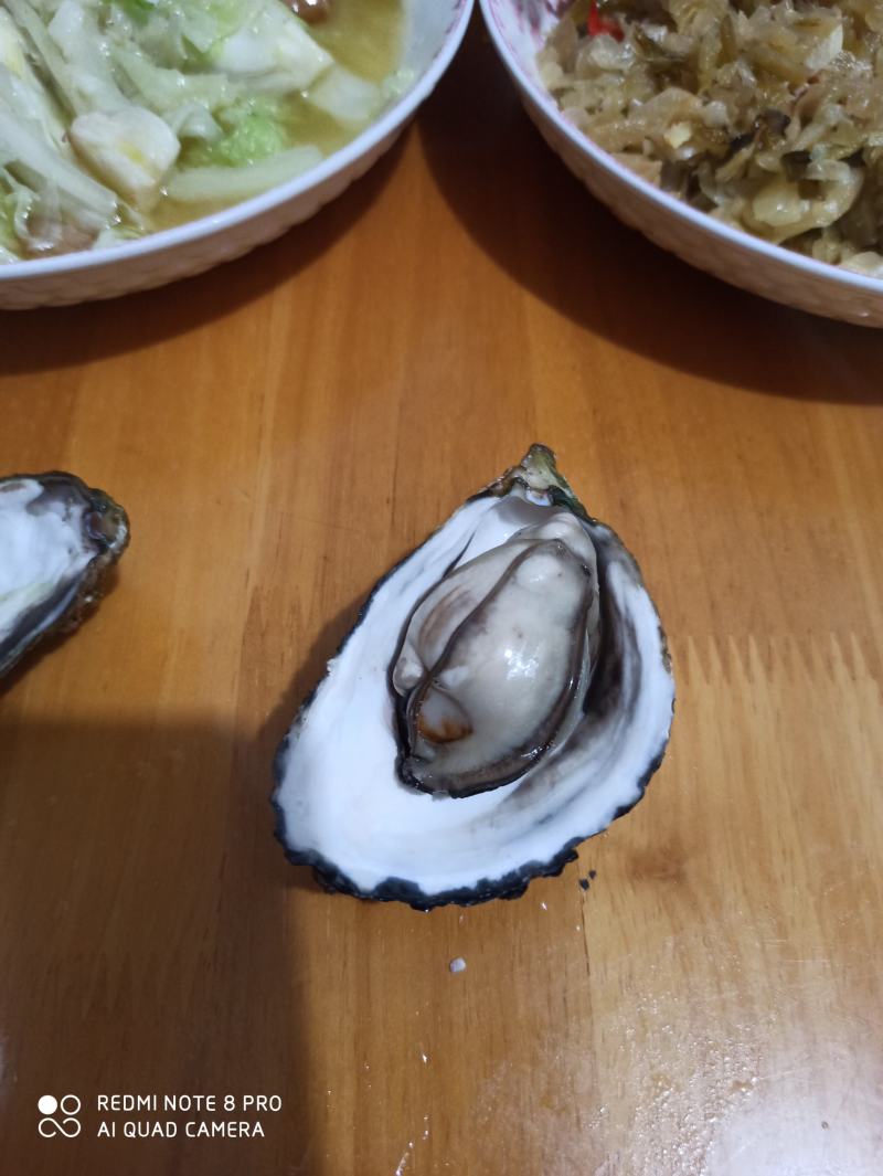 网红小包装生蚝，本地一手货源