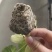 育苗基质_山东省莘县亿信源育苗基质_好基质，亿信源