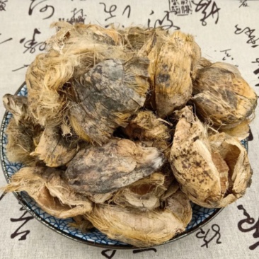 振兴药材批发供应大腹皮产地直销价大货批发