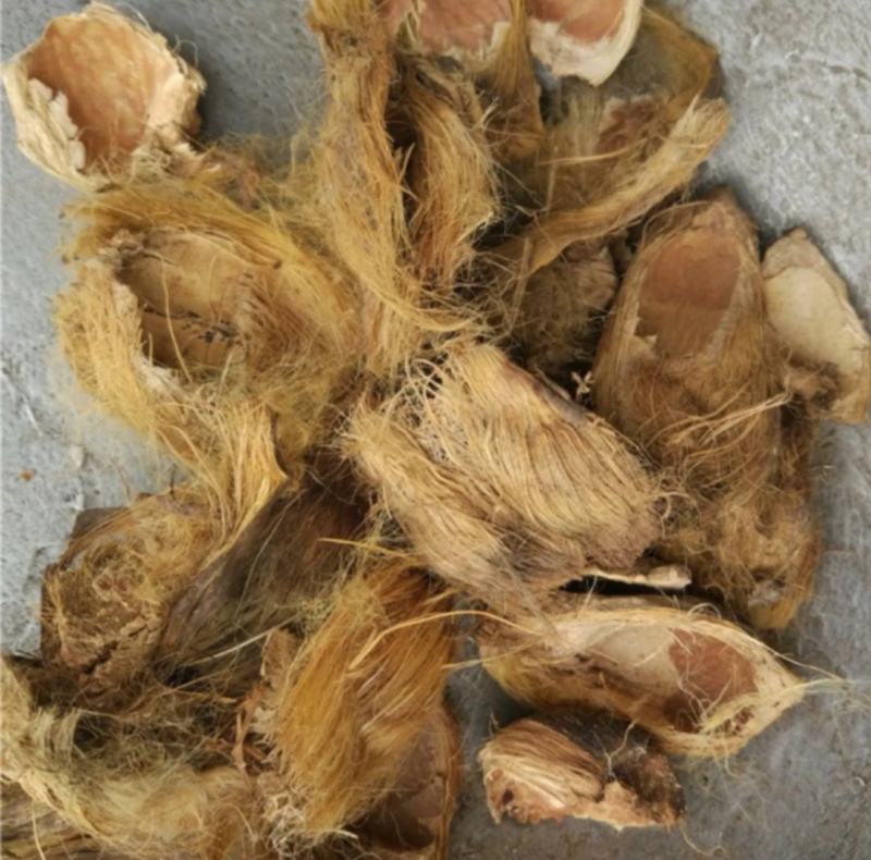 振兴药材批发供应大腹皮产地直销价大货批发