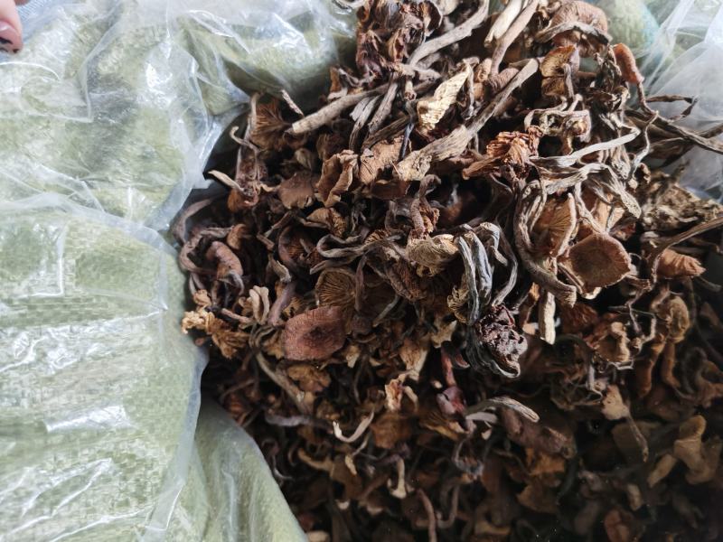 草榛蘑，味道鲜美，价位低，产地直发，没有中间商，