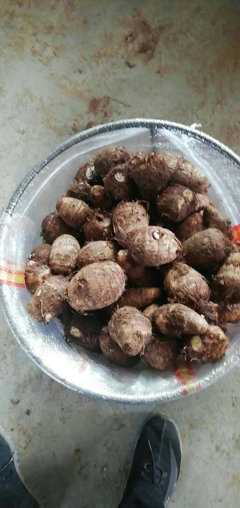 [热销芋头]山东优质8520芋头种大量有货销售，产地直销