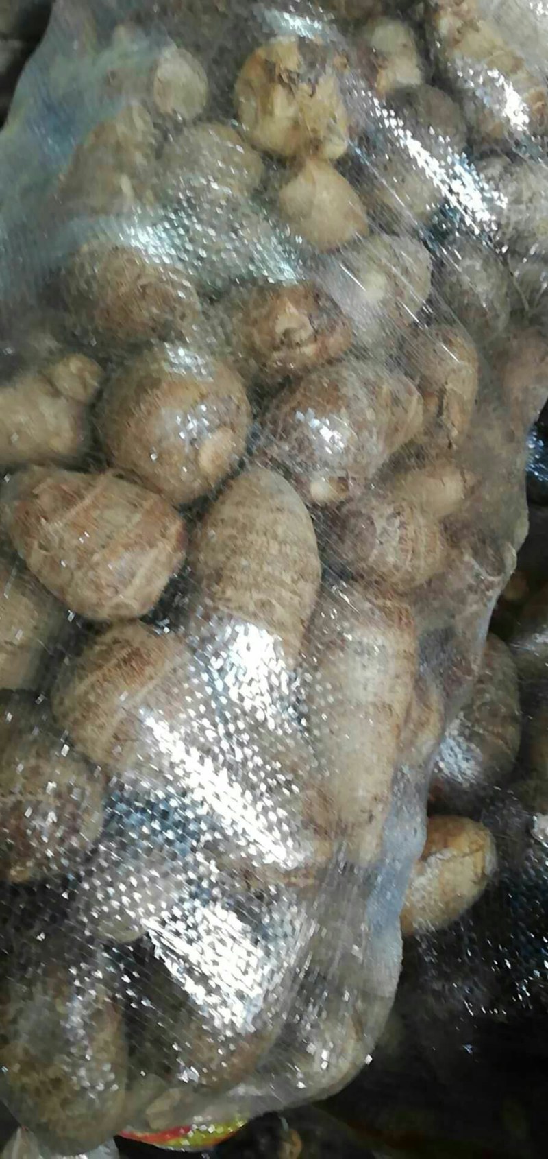 [热销芋头]山东优质8520芋头种大量有货销售，产地直销