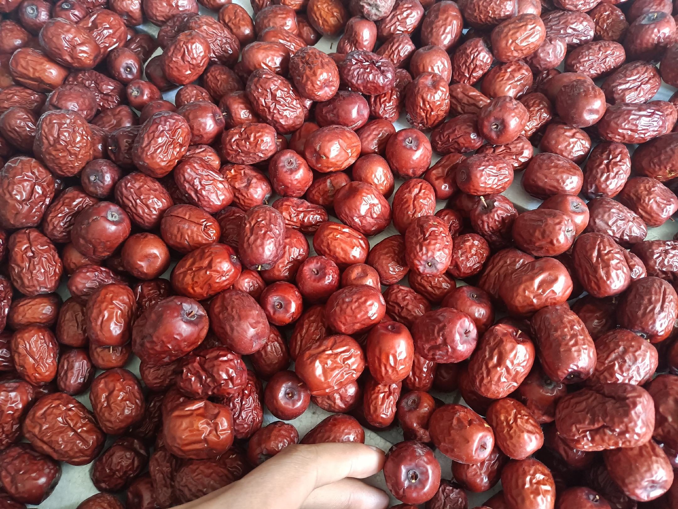 枣壳特写