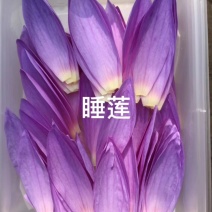 山东淄博三色堇及各种装饰花花草草