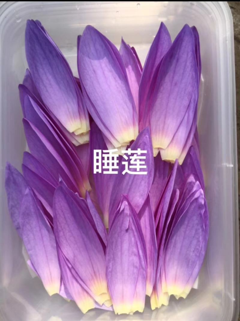 山东淄博三色堇及各种装饰花花草草