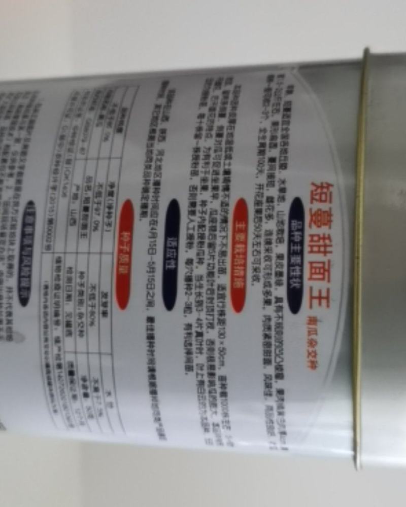 日本黑南瓜种子黑皮疙瘩南瓜种籽短蔓甜春季蔬菜种孑高产四季