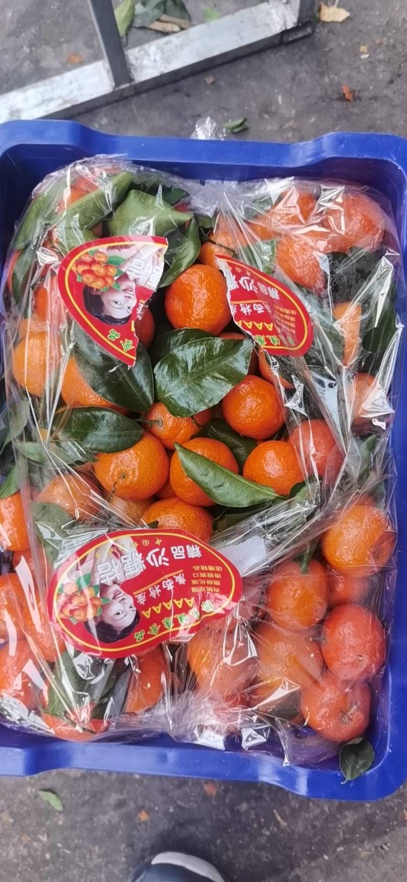（精品）广西砂糖橘，小薄皮，纯甜口，入口化渣，大小框都有