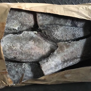 俄罗斯水鳕，东方一号