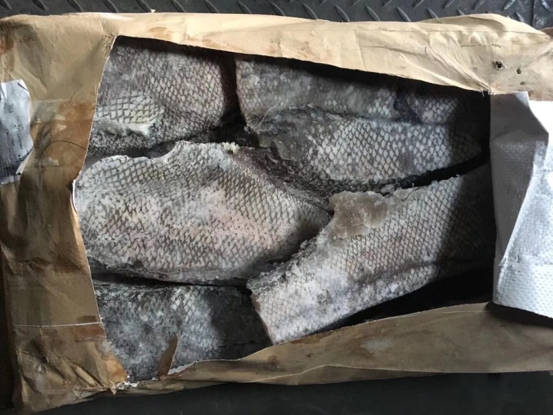 俄罗斯水鳕，东方一号
