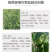 恶霉灵乙蒜素死苗烂根炭疽立枯枯萎病根腐病白绢杀菌剂