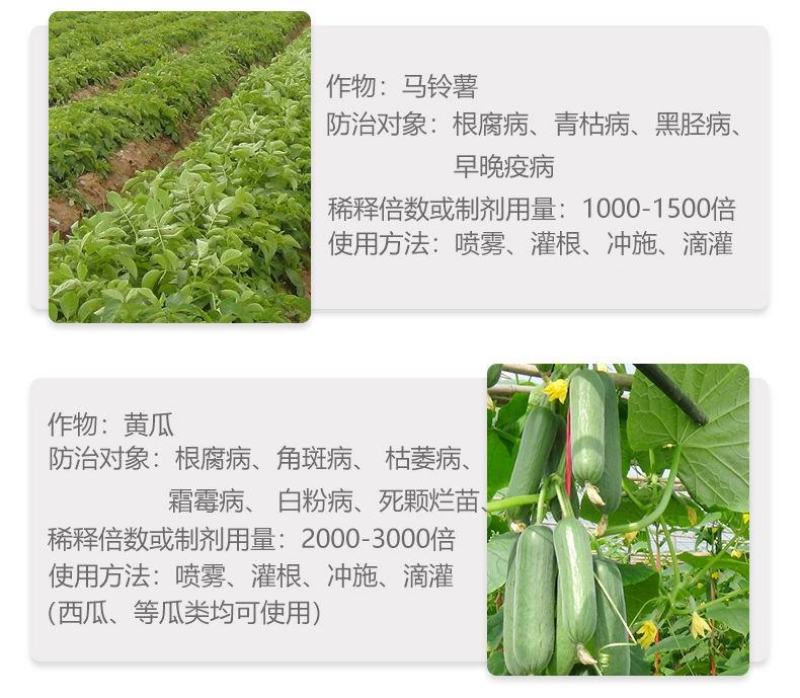 恶霉灵乙蒜素死苗烂根炭疽立枯枯萎病根腐病白绢杀菌剂