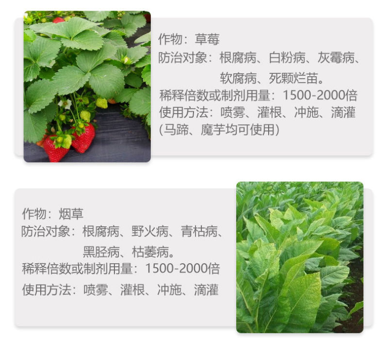 恶霉灵乙蒜素死苗烂根炭疽立枯枯萎病根腐病白绢杀菌剂