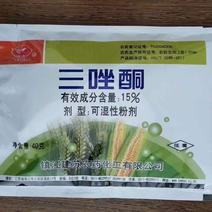 七洲15%三唑酮蔬菜果树小麦玉米白粉病锈病丝黑穗病