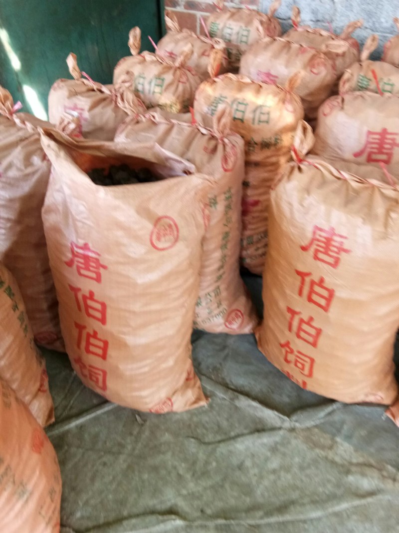 荸荠广西贵港市新鲜马蹄上市