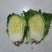 青杂3号白菜大量有货，有要老板请连糸，加工厂用的大量有货