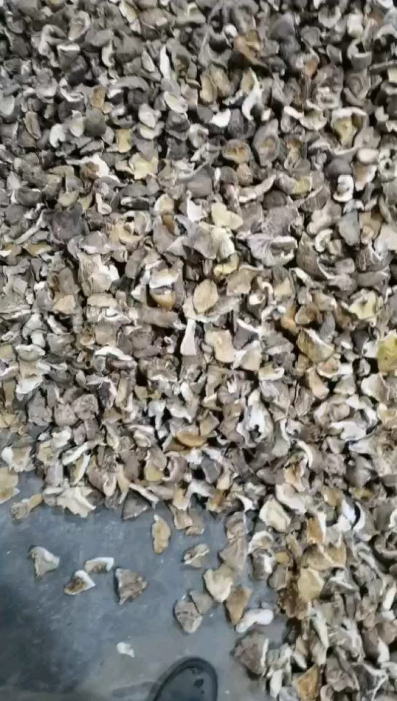 干香菇大薄片干香菇片原产地发货土特产干货源充足稳定