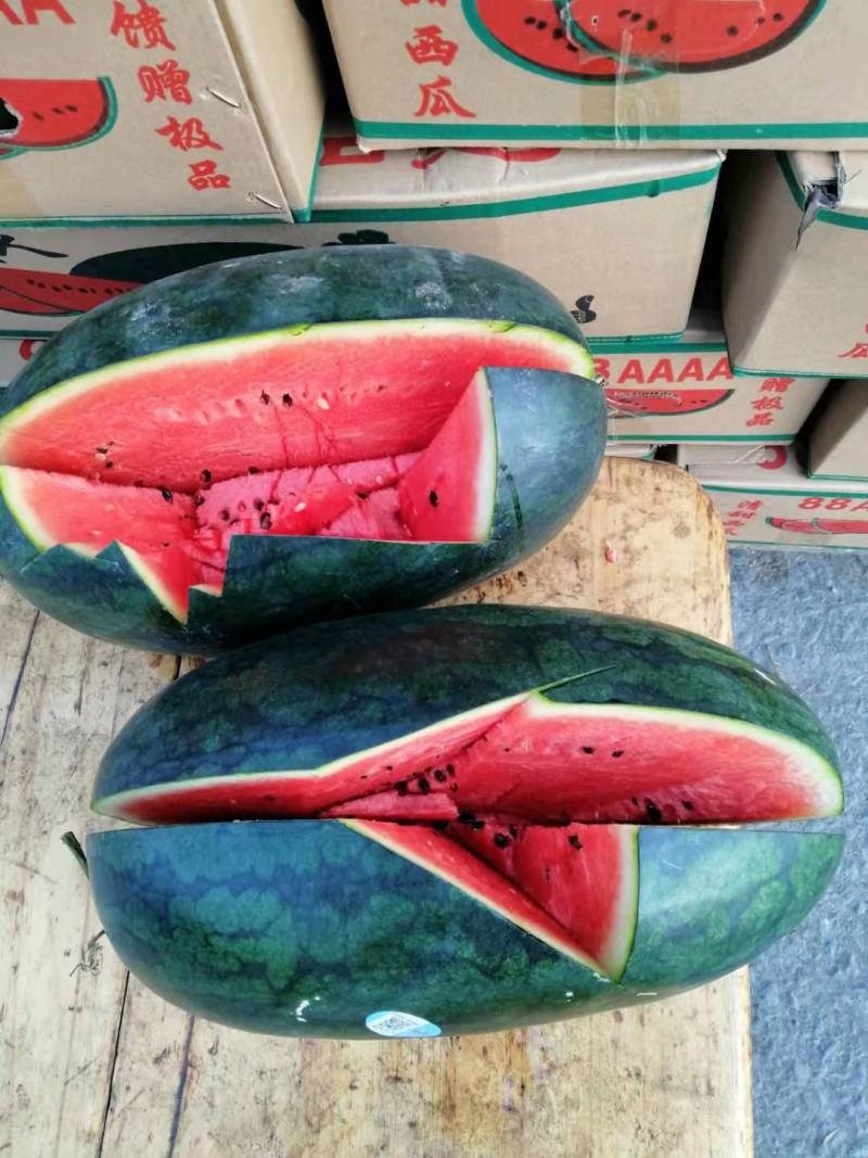 【精品】湖北黑美人西瓜质量保证量大优惠欢迎老板咨询