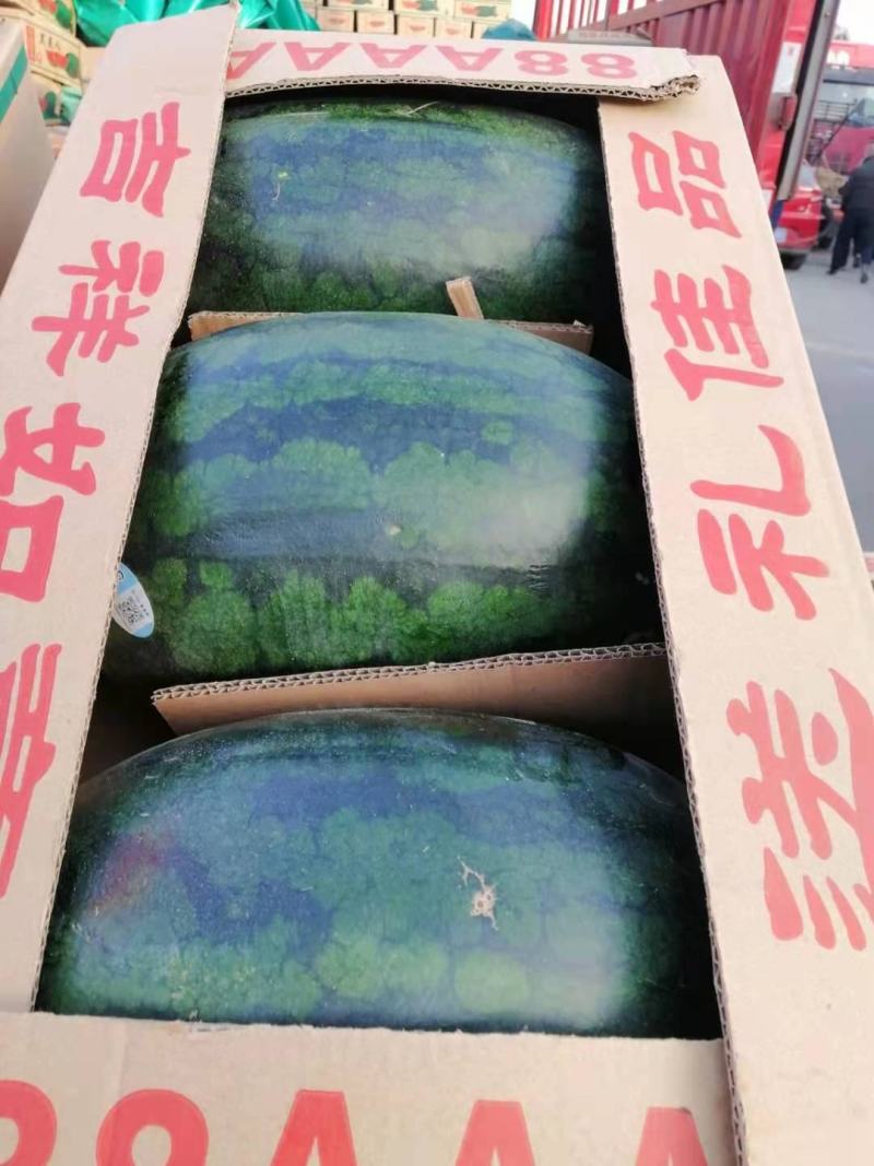 【精品】湖北黑美人西瓜质量保证量大优惠欢迎老板咨询